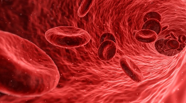 Анализ крови на гепатит С