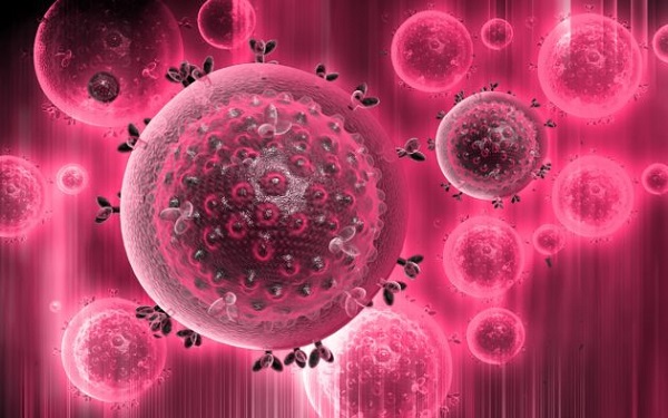 Вирус гепатита и антитела